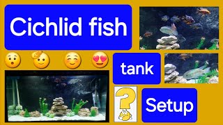 4 feet Aquarium Setup  Cichlid tank setup  Aquarium Setup fish aquarium trending viral [upl. by Llerrom411]