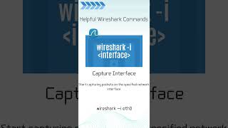 Wireshark Command Capture Interface [upl. by Yettie]