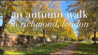 An autumn walk in Richmond London Ham House Petersham Nurseries and Richmond town centre [upl. by Amat]