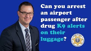 Ep 3 Can you arrest airport passenger after drug K9 alerts on their luggage [upl. by Larret]