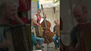 Enjoying traditional Swiss music 🇨🇭 traditional music switzerland travel europe [upl. by Carry]