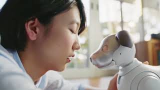 SONY aibo [upl. by Labors]