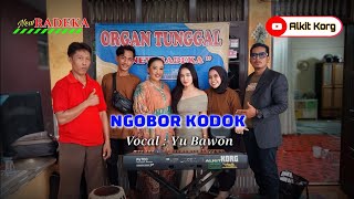 Ngobor Kodok  Yu Bawon  New Radeka Live Jatirokeh Songgom Brebes [upl. by Seugram203]