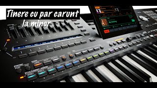 ❌ Ritm Tinere cu par carunt la minor ❌ Korg PA5X ❌ [upl. by Rakabuba]