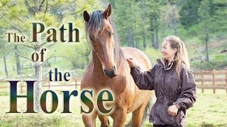 The Path of the Horse  Full Length documentary [upl. by Kaspar892]