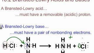 BBrown AP Chapter 161163 Notes [upl. by Brinn]