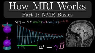 How MRI Works  Part 1  NMR Basics [upl. by Melisande345]