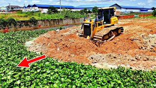 Next Level Operator Land Filling Process Big Dozer Shantui DH17C2 Pushing Dirt Clearing Land [upl. by Tnattirb963]