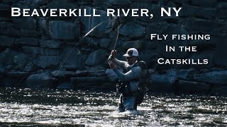 Euro Nymphing the Beaverkill River NY Fly Fishing in the Catskills [upl. by Shamus904]