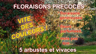 Floraisons précoces de printemps  5 arbustes et vivaces [upl. by Orbadiah]