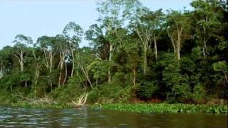 Crossing the Amazon [upl. by Lindley]