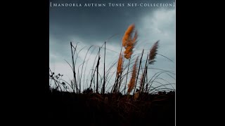 Gondal Clouds 3  Mandorla netlabel If Im simply 12EDO たまにはシンプルに平均律の楽曲です。 [upl. by Gery816]