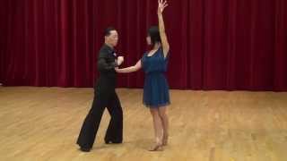 Gold Star Samba Dance Lesson [upl. by Anaoy]