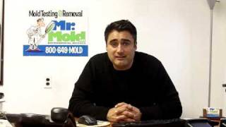 Mr Mold TV Episode 3 Toxic Mold vs Allergenic Molds [upl. by Aicnelev]