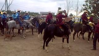 Rodeo Montubio En Yaguachi [upl. by Etat]