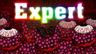 Into HELL Terraria Expert Mode 7 [upl. by Zephaniah]