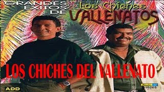 Mix Vallenato viejo  Los Chiches [upl. by Mhoj]