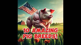 Top 10 Farm Pig Breeds Around the World usa pigbreeds viral shorts [upl. by Natlus]