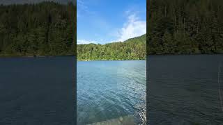 Hayward Lake in 🇨🇦 canada lake green beautiful britishcolumbia [upl. by Atinav505]