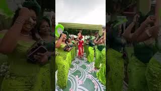 IGBO BRIDE viralvideo wedding elegantbrides prettybrides shots shorts viralshort wedding [upl. by Notsuj]