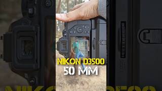 Nikon D3500 camera settings shorts [upl. by Irtimid]