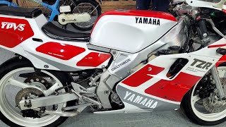 1989 yamaha tzr 250 3ma reverse cylinder model [upl. by Hudnut]