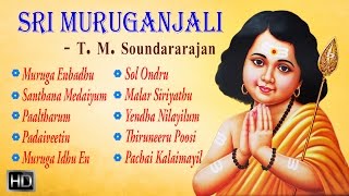 T M Soundararajan  Lord Murugan Songs  Sri Muruganjali  Tamil Devotional Songs  Audio Jukebox [upl. by Valma]