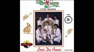 Grupo Bryndis Con Banda  Como Un Tonto [upl. by Yrrag]