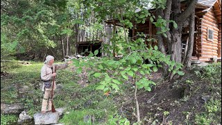 Who Doesnt Need a Fort Recreating the 18th Century Fortified Homestead  FRONTIER LIFE [upl. by Peednama]