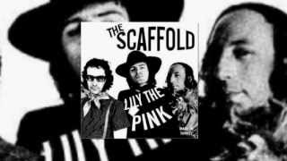 The Scaffold  Lily the pink  Vinyl Rip 1968 [upl. by Llertnov991]