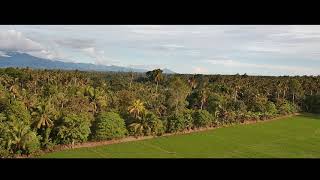 SJRC F11 4K PRO CINEMATIC VIDEO LUPON DAVAO ORIENTAL [upl. by Jasun]