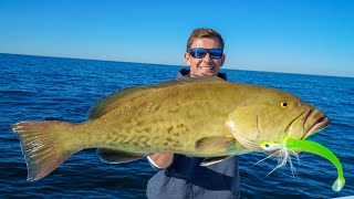 INSANE Fishing Spot Catch Clean Cook Gag Grouper Limits [upl. by Ttebroc]