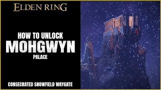 Elden Ring  How to get to Mohgwyn Palace [upl. by Nylissej]