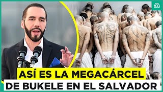 La megacárcel de Bukele Así es por dentro la prisión de El Salvador [upl. by Anyah]