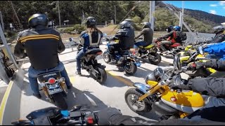 Sydney Monkey amp Grom Squad ride Wisemans Ferry [upl. by Lucilia83]