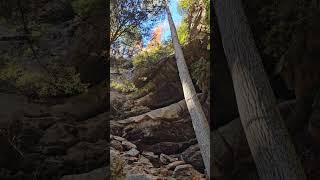 In God Kayak Fishing caught a Ozark Bass at Middle Fork Little Red River by Leslie Arkansas [upl. by Gris4]