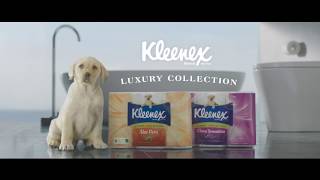 Kleenex Aloe Vera Toilet Tissue  A little bit of luxury TV Commercial 2016 [upl. by Irep670]