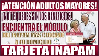 Aquí te decimos cómo encontrar el módulo INAPAM para tramitar tu tarjeta [upl. by Beaufort]