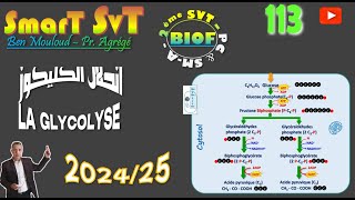 113 La Glycolyse 2024 [upl. by Barnie782]