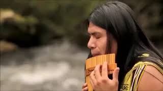 leo rojas muy triste esta cansion [upl. by Herbie534]