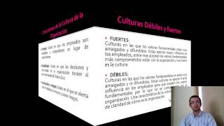 Capítulo 31 Cultura Entorno y Limitaciones de las Organizaciones [upl. by Edualc]