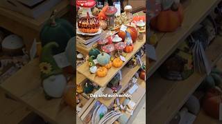 Almanyada Ev Tutmak Alışveriş Halloween Wohnung mieten Einkaufen und Halloween in Deutschland [upl. by Loleta673]