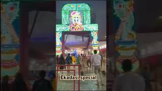 Ekadasi special khatushyam khatudham viralshorts viralreels [upl. by Yendis]