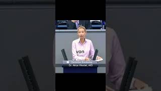 Deutschland wird von Idioten Regiert afd weidel dieampelmussweg illegal refugees [upl. by Moll]