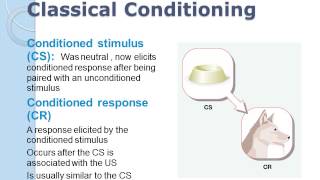 Learning classical conditioning [upl. by Chura]