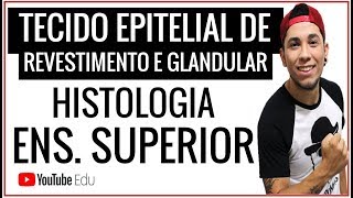 Tecido Epitelial  REVESTIMENTO E GLANDULAR │Aula de Biologia Ensino Superior  Prof Patrick Gomes [upl. by Funda]