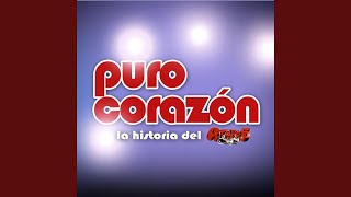 Puro Corazón [upl. by Ahsekat]