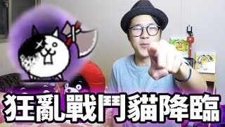 【貓咪大戰爭】「狂亂貓」狂亂戰鬥貓 [upl. by Neelhtac688]