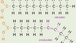 Biochemistry  Lipids  Fatty acids nomenclature saturated amp unsaturated Cis vs Trans [upl. by Federica]