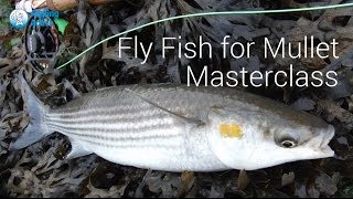 Part 2  Mullet Masterclass  UK Saltwater fly fishing [upl. by Jobe]